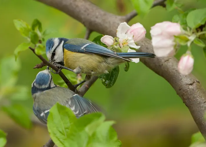 Oberstockachhof Apartamento *